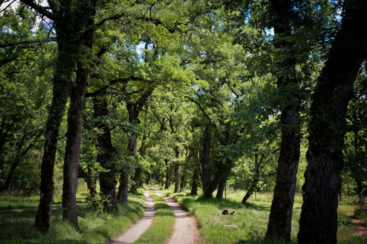 Domaine De Bach * Cregols